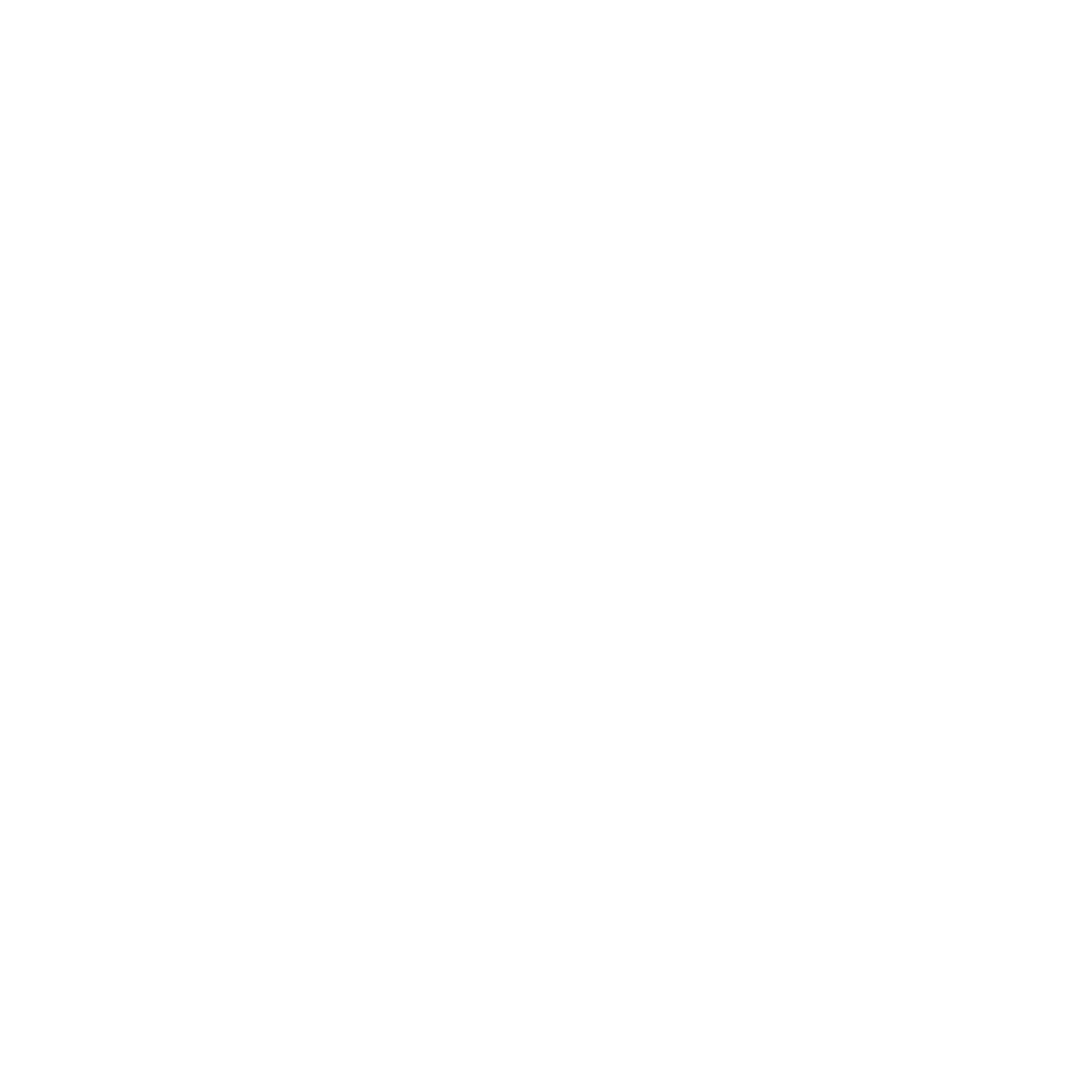 BURNEY PALACE LOGO